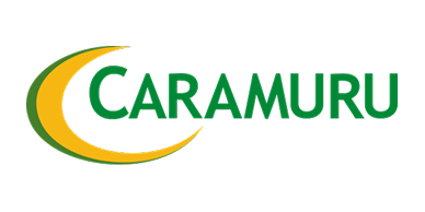 Caramuru